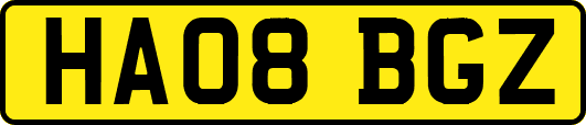 HA08BGZ