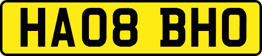HA08BHO