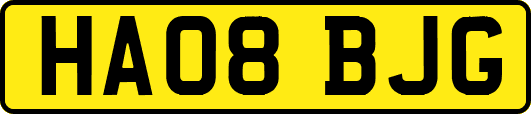 HA08BJG