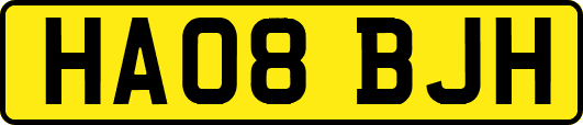 HA08BJH