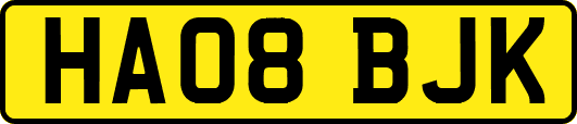 HA08BJK