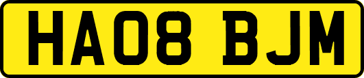 HA08BJM