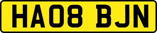 HA08BJN
