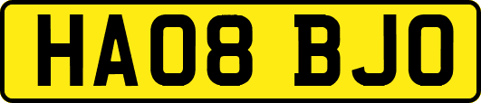 HA08BJO