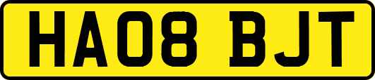 HA08BJT