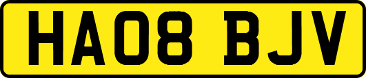 HA08BJV