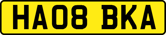 HA08BKA