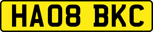 HA08BKC