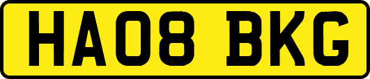 HA08BKG