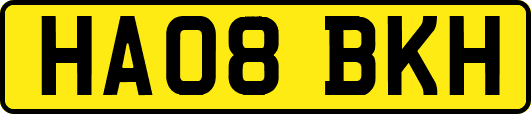 HA08BKH