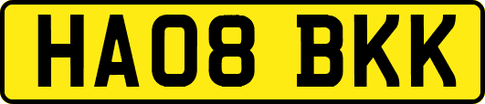 HA08BKK