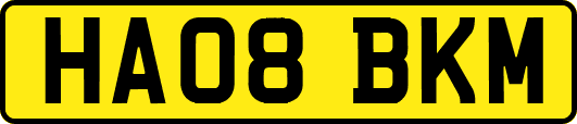 HA08BKM
