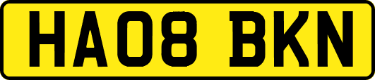 HA08BKN
