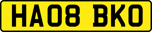 HA08BKO