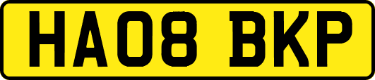 HA08BKP