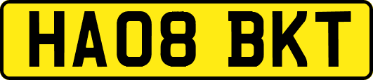 HA08BKT