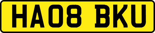 HA08BKU
