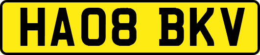 HA08BKV