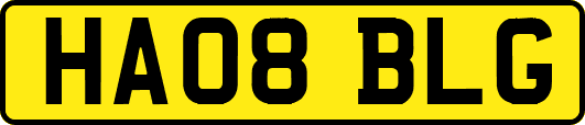 HA08BLG
