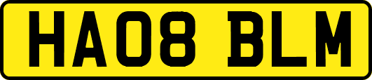 HA08BLM