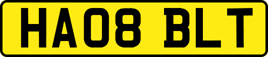 HA08BLT
