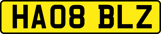 HA08BLZ
