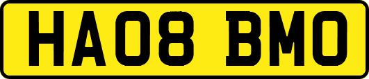 HA08BMO