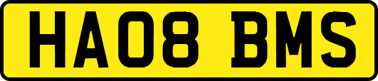 HA08BMS