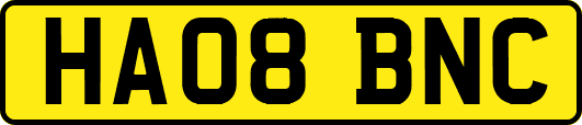 HA08BNC