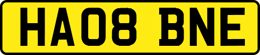 HA08BNE