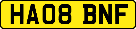 HA08BNF
