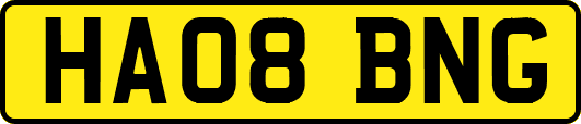 HA08BNG