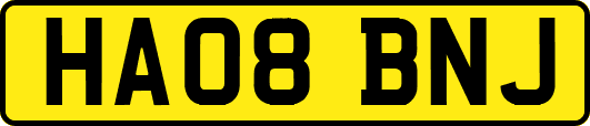HA08BNJ