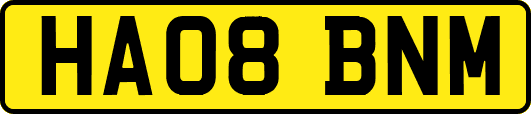 HA08BNM