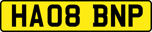 HA08BNP