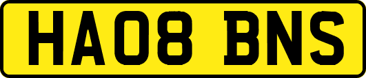 HA08BNS