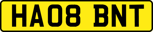 HA08BNT