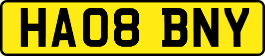 HA08BNY