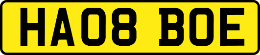 HA08BOE