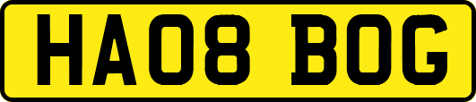 HA08BOG