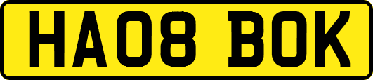 HA08BOK