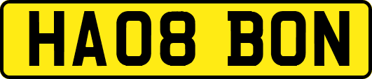 HA08BON