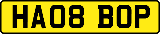 HA08BOP