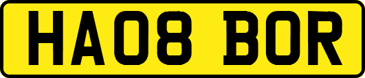 HA08BOR