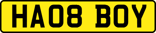 HA08BOY