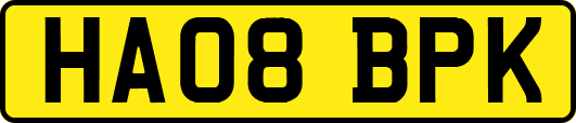 HA08BPK