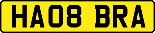 HA08BRA
