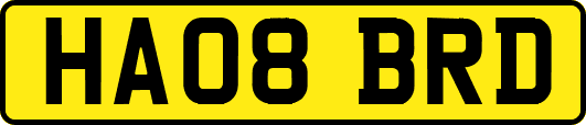 HA08BRD