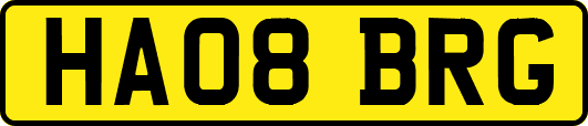 HA08BRG
