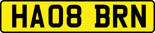 HA08BRN